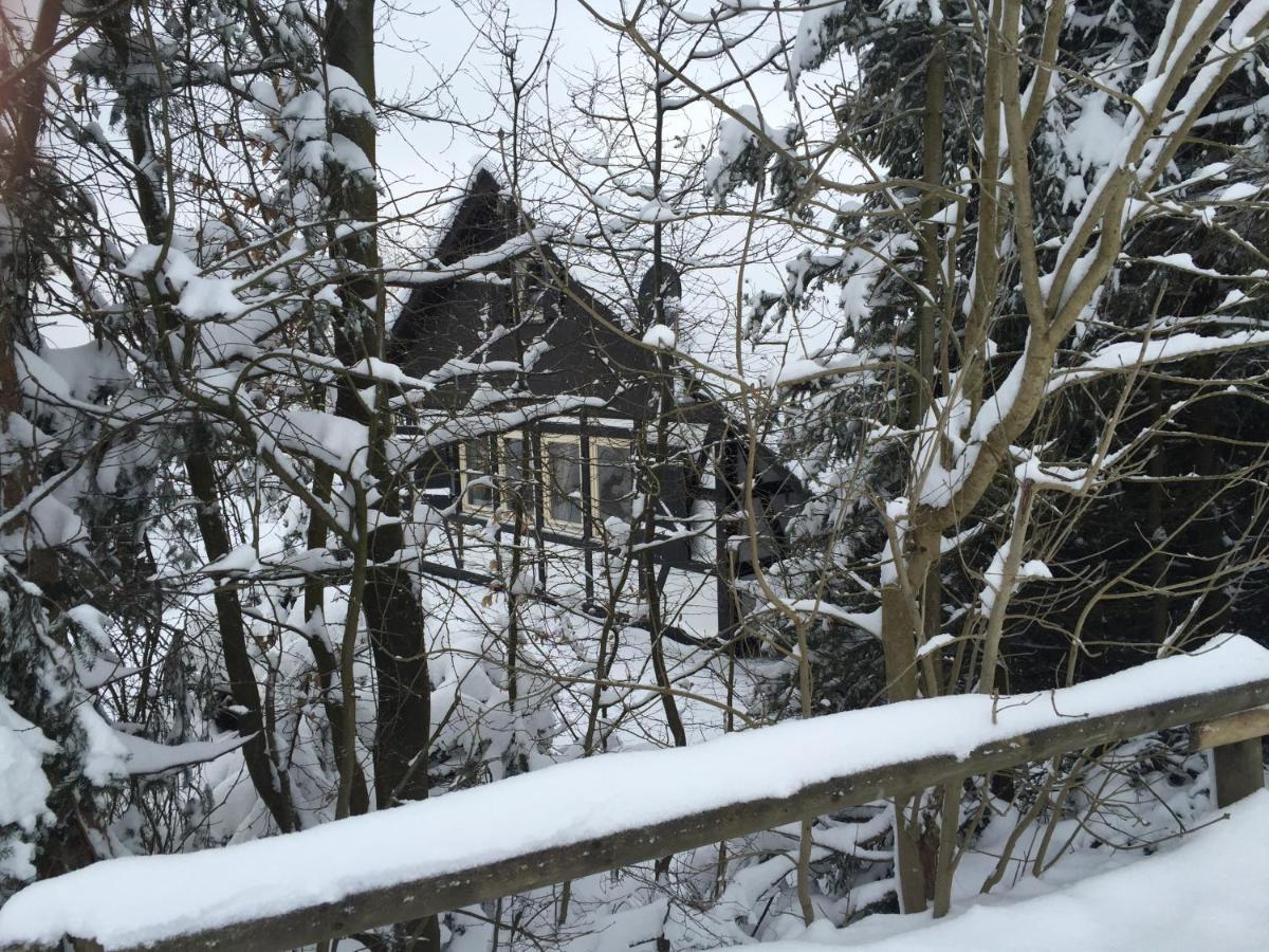 Ferienhaus Sauerlandtraum Winterberg Dış mekan fotoğraf