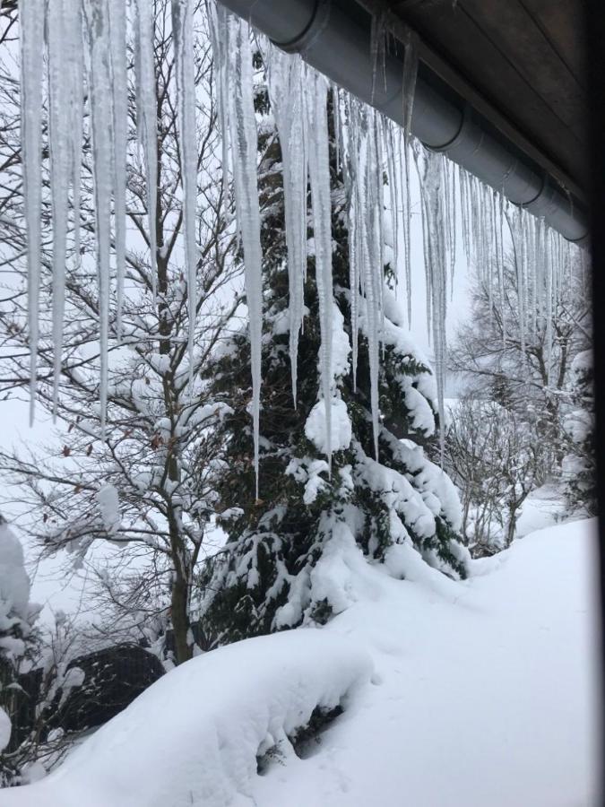 Ferienhaus Sauerlandtraum Winterberg Dış mekan fotoğraf