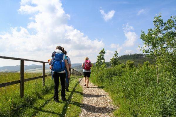 Ferienhaus Sauerlandtraum Winterberg Dış mekan fotoğraf